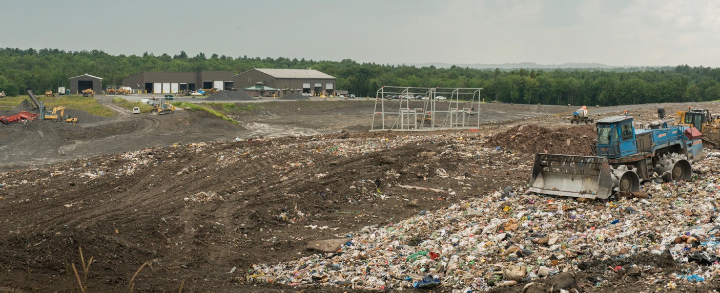 Oneida-Herkimer Regional Land ll in New York, one of Google’s carbon offset project partners